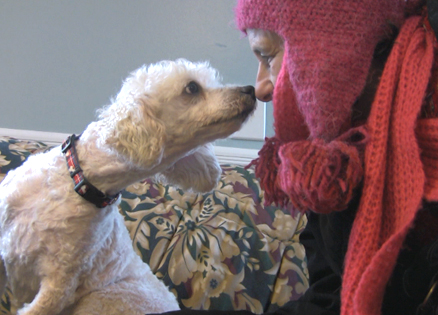 Pets Alive: An Inspiring Animal Sanctuary