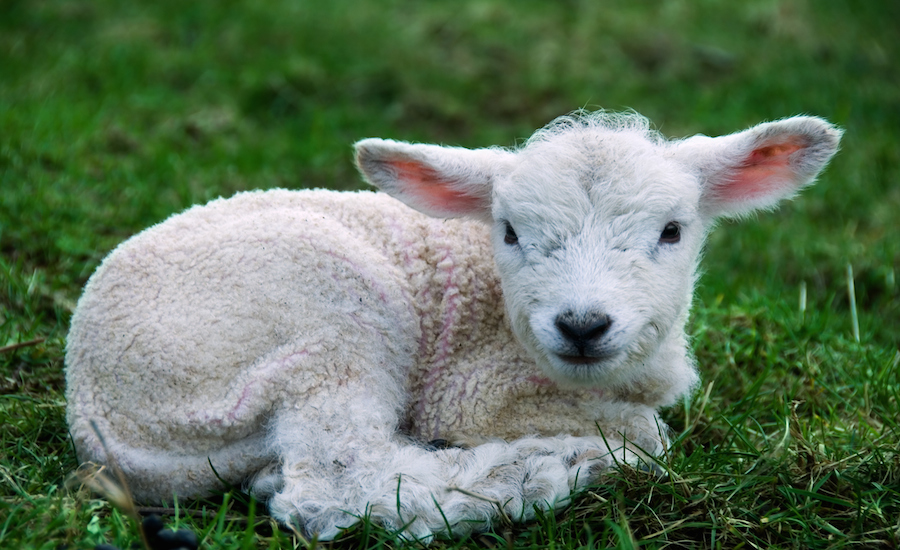 Feeling Lost and Alone?