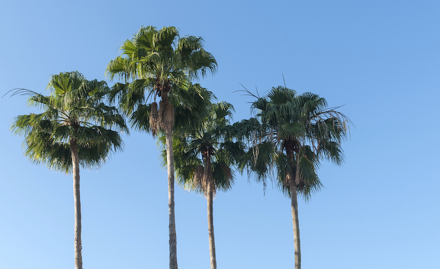 Bearing Each Other’s Burdens