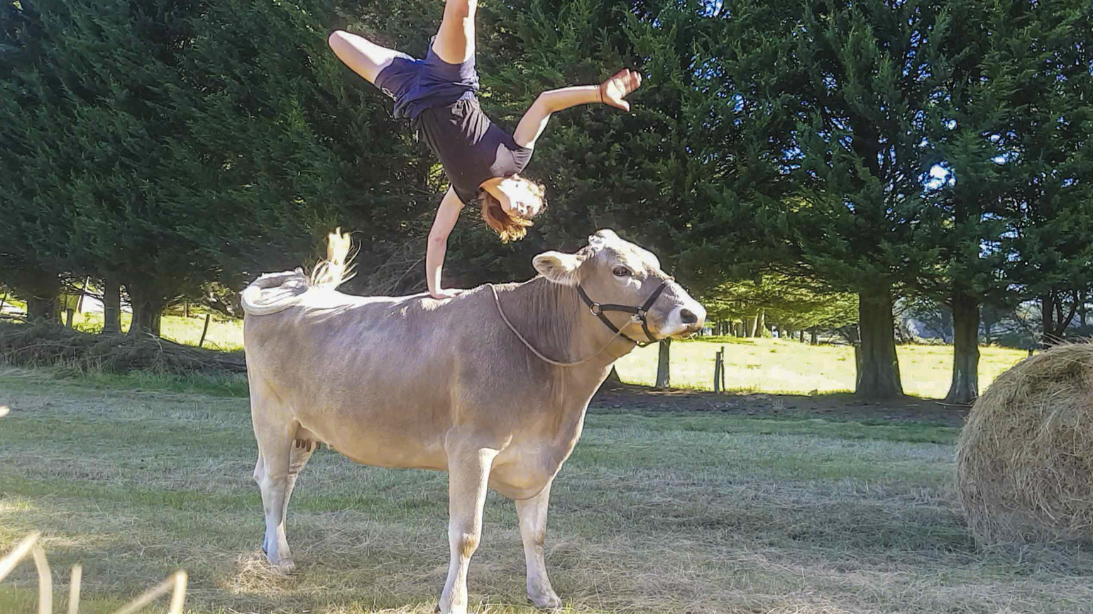 A Cowgirl’s Show Jumping Dream with Her Cow