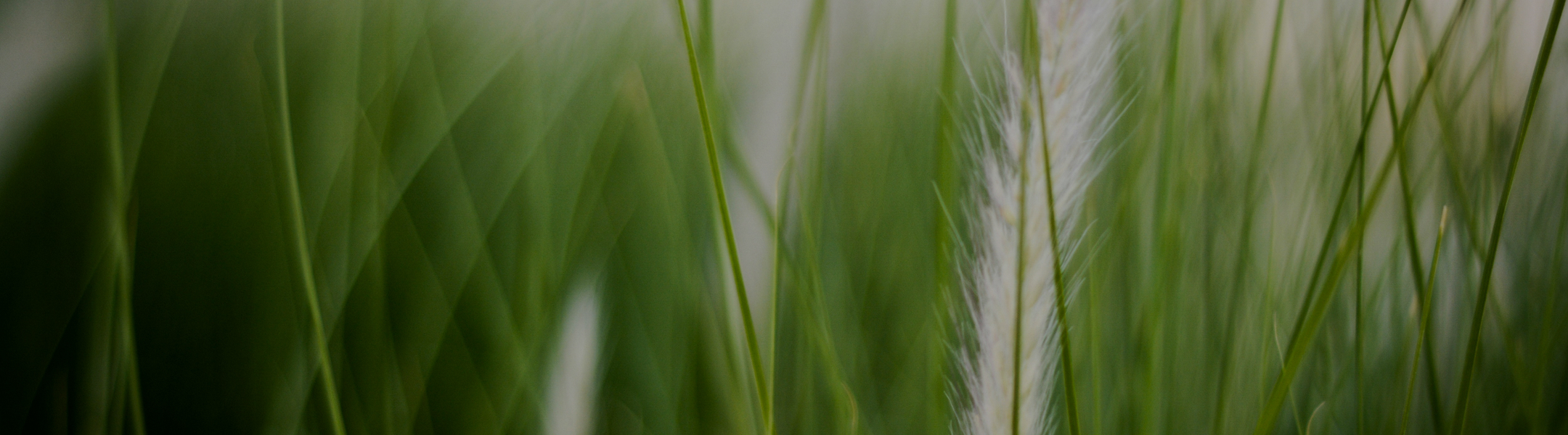 We Invite You to Think About Anger