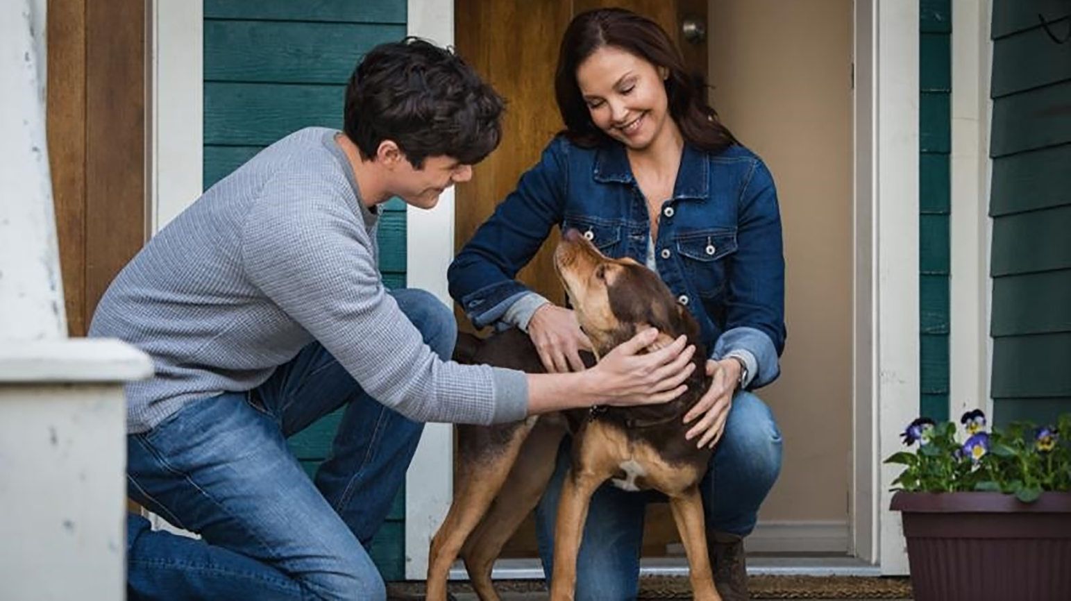 Ashley Judd on Playing a Veteran in ‘A Dog’s Way Home’