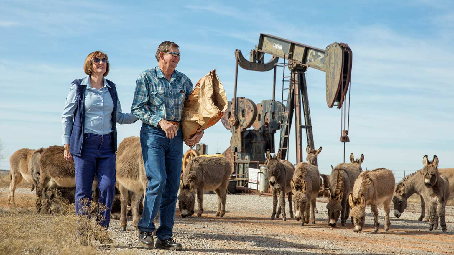 A Sicilian Donkey’s Courage Gave Them Hope