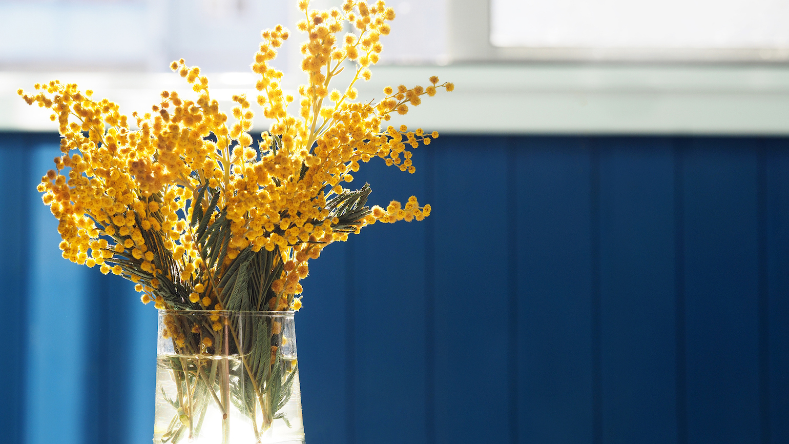 How to Wait Patiently for Spring