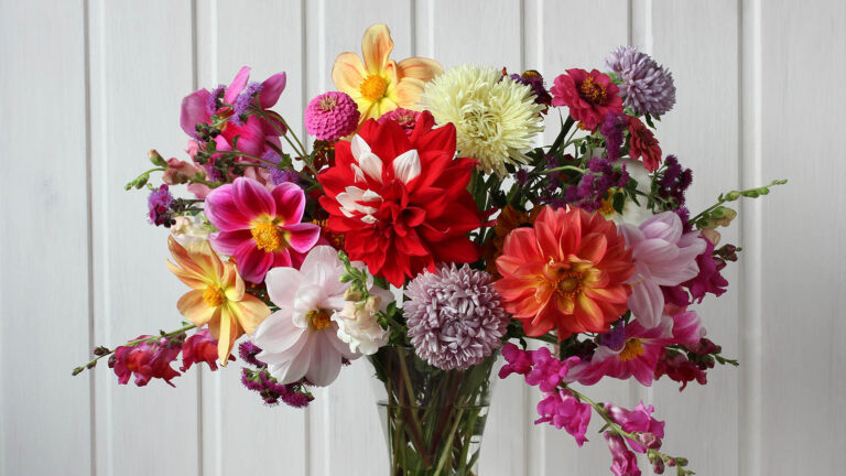 Colorful bouquet sitting on a table as a person's spring activity