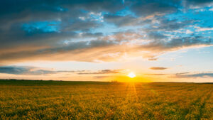 7 Bible Verses to Pray First Thing in the Morning