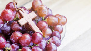 The Perfect Scripture for Spiritual Growth