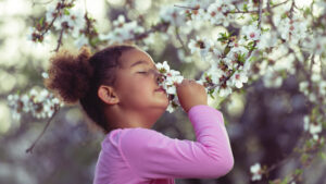 3 Reasons to Renew Your Appreciation of Nature