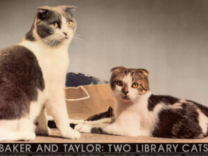 The Inspiring Tale of Library Cats Baker & Taylor