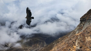 4 Ways to Protect Your Family During Life’s Storms