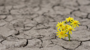 God’s Promises During Times of Struggle