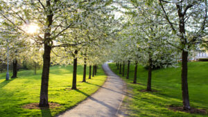 Welcome to A Positive Path