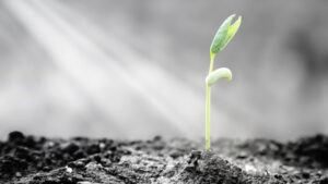 Pray for Blessings from Disappointment