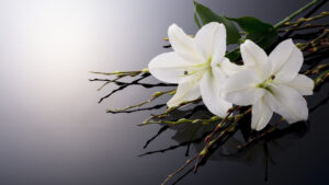 An Easter Like the Very First One