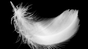 An Angel Escorted Her to Heaven