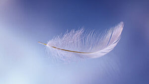 A Heavenly Sign to Pursue Her Dream Job