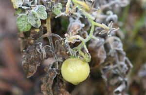 Warm Your Heart as You Prepare for Winter