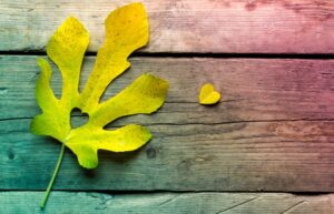 The Power of God’s Love