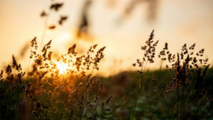 How Prayers of Gratitude Can Help You Fight Depression