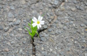 Inspiring Bible Verses for Overcoming Obstacles