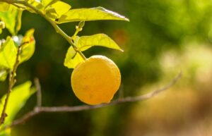 One Rabbi’s Passover Blessing