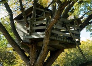 Daily Reflection: Finding God in a Tree House
