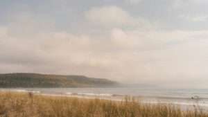 Patience–God’s Grace at Work