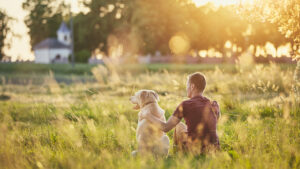 10 Scriptures to Help You Pray Through Grief