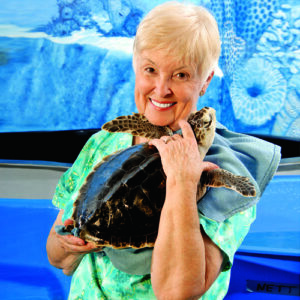 The Turtles of Topsail Island