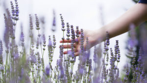 Declutter Your Spiritual Life