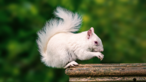 Experience Everyday Miracles