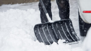 Daily Devotion: Angels Brighten Our World