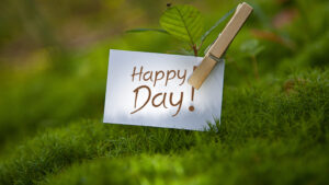 Scripture to Make the Most of Today