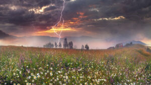 Reading God’s Signs