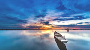 Pray the Psalms for Courage, Guidance & Serenity