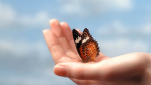 Waiting on the Lord: The Power of Silent Prayer