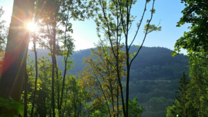 4 Steps for a Spiritual Spring Cleaning