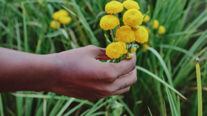 20 Spring Activities for Couples, Families, Kids