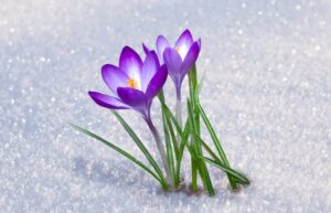 Daily Devotion: Hope for Dark Days