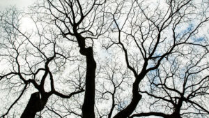 When God Sends You in an Unexpected Direction