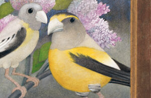 This Tree Savior Was Really an Angel